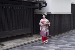 maiko in Kyoto 